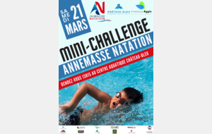 Mini-Challenge 2
